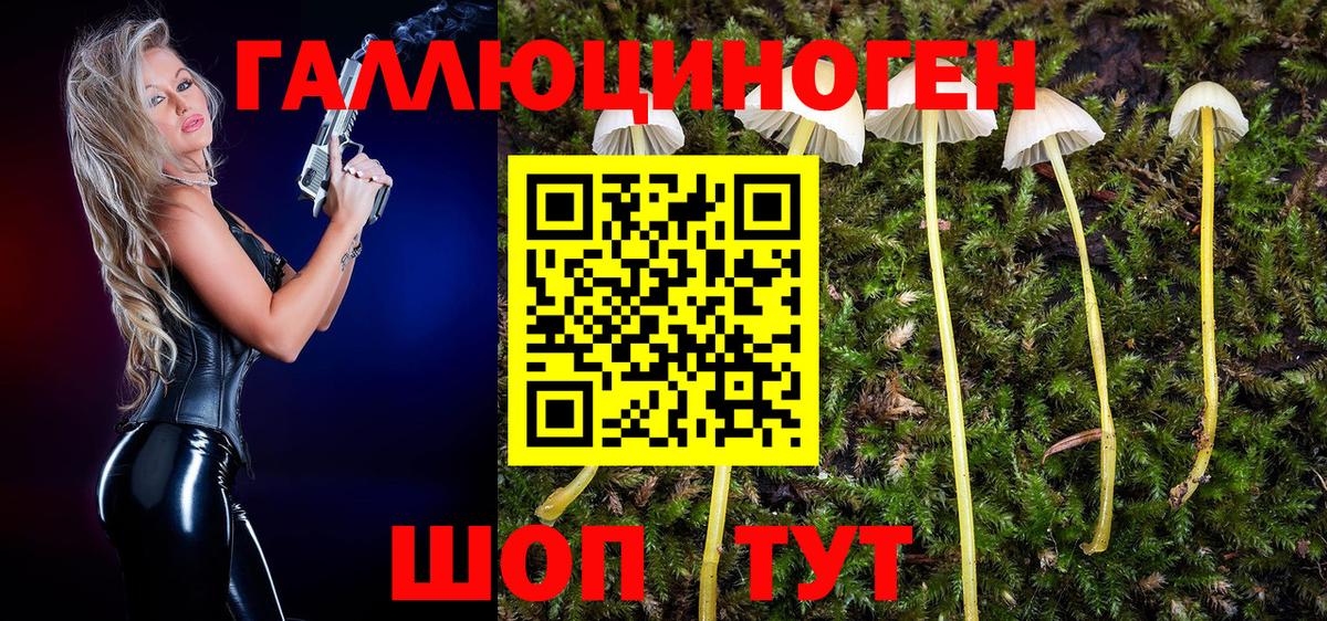 Клин  Галлюциногенные грибы мухоморы  Вход с VPN 